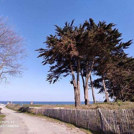 Logement En Rdc Port Haliguen Leilighet Quiberon Eksteriør bilde