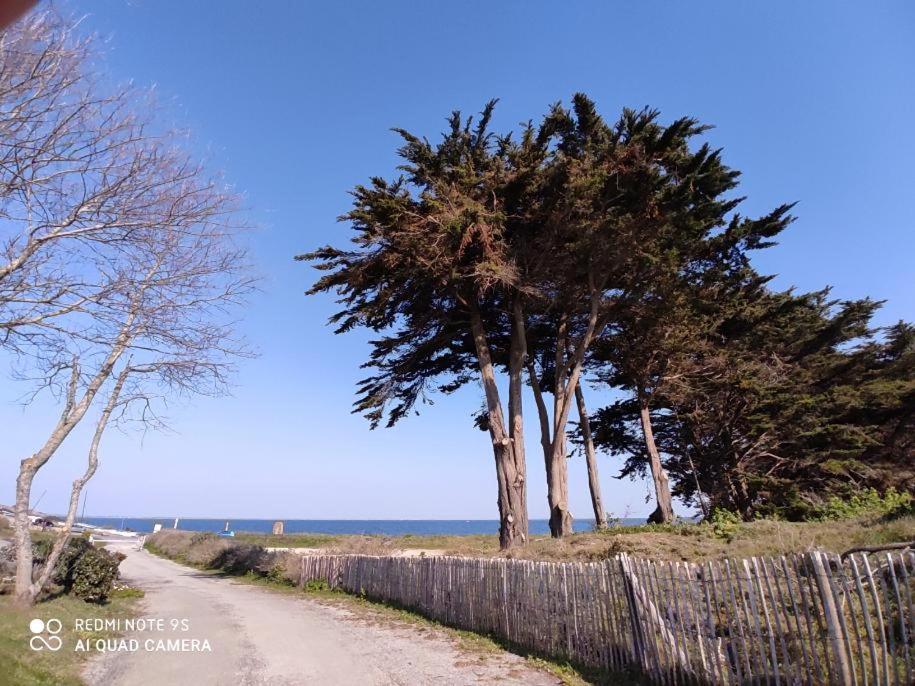 Logement En Rdc Port Haliguen Leilighet Quiberon Eksteriør bilde