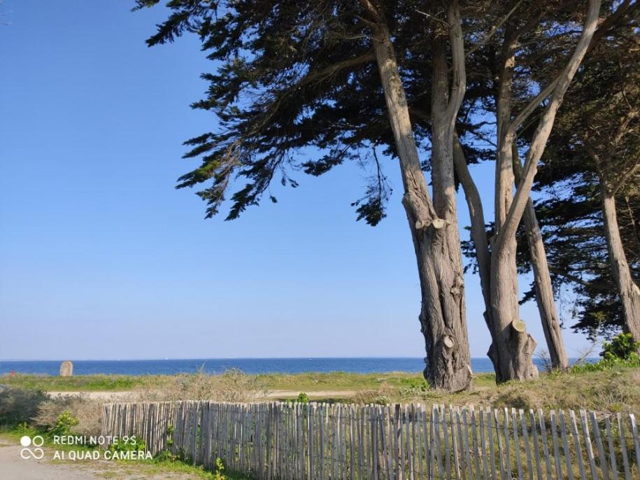 Logement En Rdc Port Haliguen Leilighet Quiberon Eksteriør bilde
